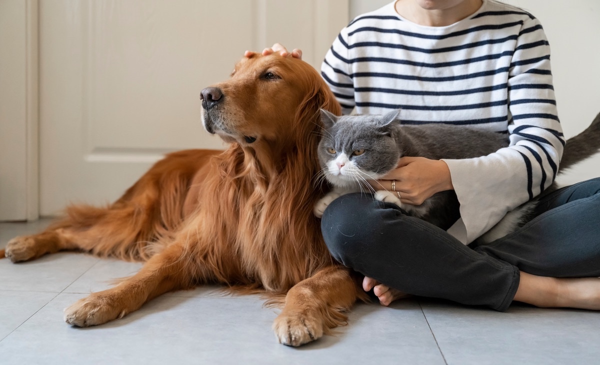 Helping Pets Behave ~ Animal Behaviorist and Training